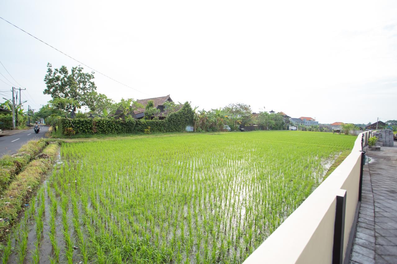 V Canggu Dormitory Exteriér fotografie